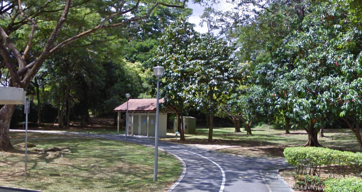 33 Y.O IMPREGNATES UNDERAGE GIRL, DID IT IN YISHUN PARK PUBLIC TOILET