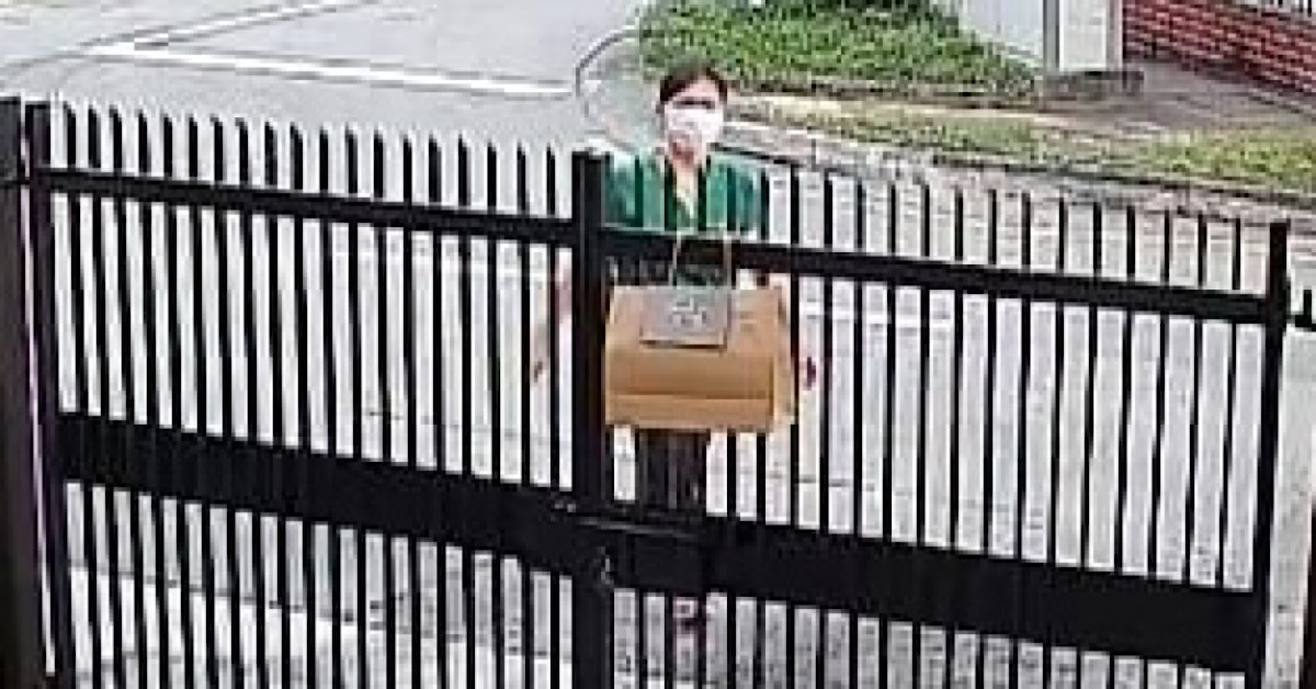 ITCHY HAND WOMAN STOLE MAN’S DELIVERY, CAUGHT ON FILM