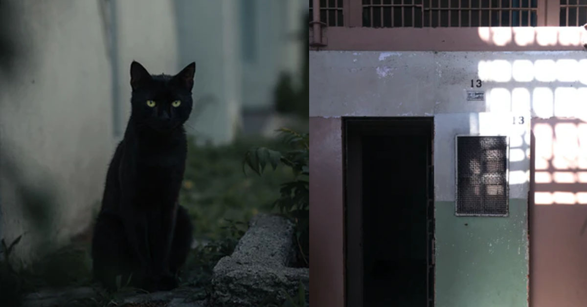 THE MOST UNLUCKY DAY IN THE YEAR IS TODAY, FRIDAY THE 13