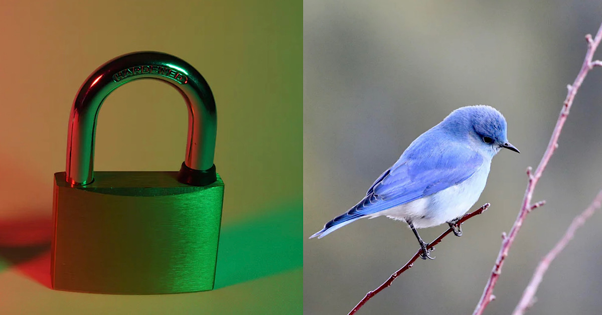 MAN KU KU JIAO STUCK IN PADLOCK, HIM AND MUM UNABLE TO GET IT OUT