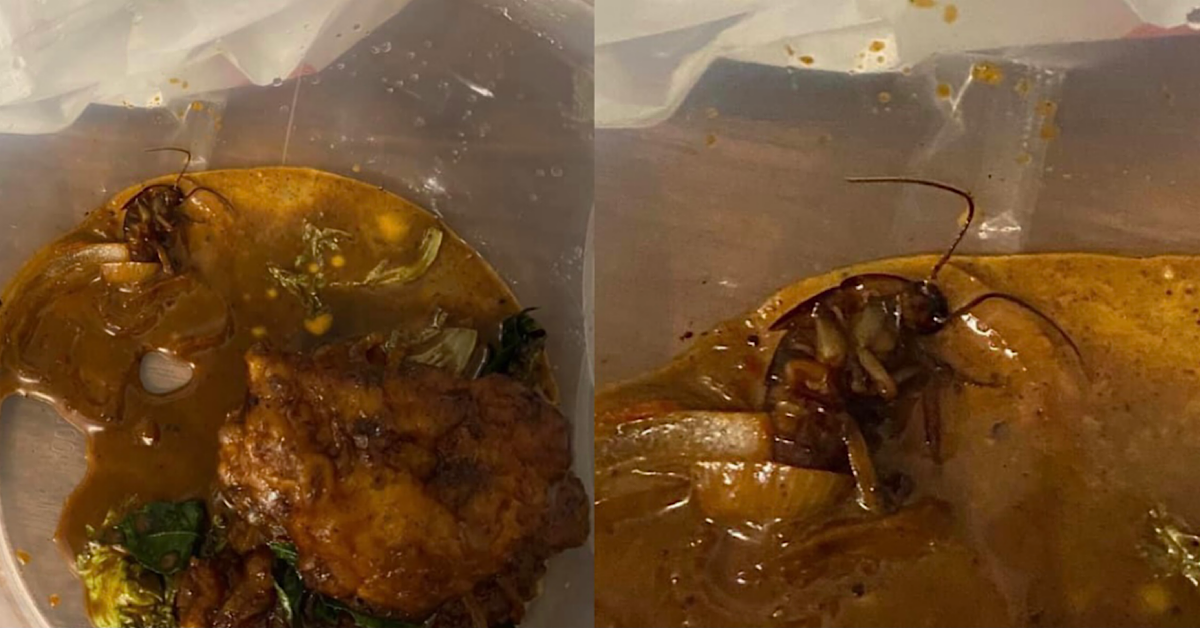 MAN EATS PORK RIBS ADD ROACH, EAT UNTIL WANT TO VOMIT