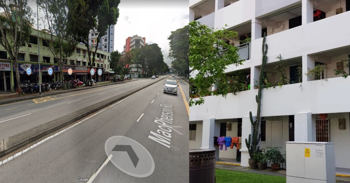 CACTUS GROWS THREE FLOOR HIGH, NETIZENS SAYS IT IS JACK’S BEANSTALK