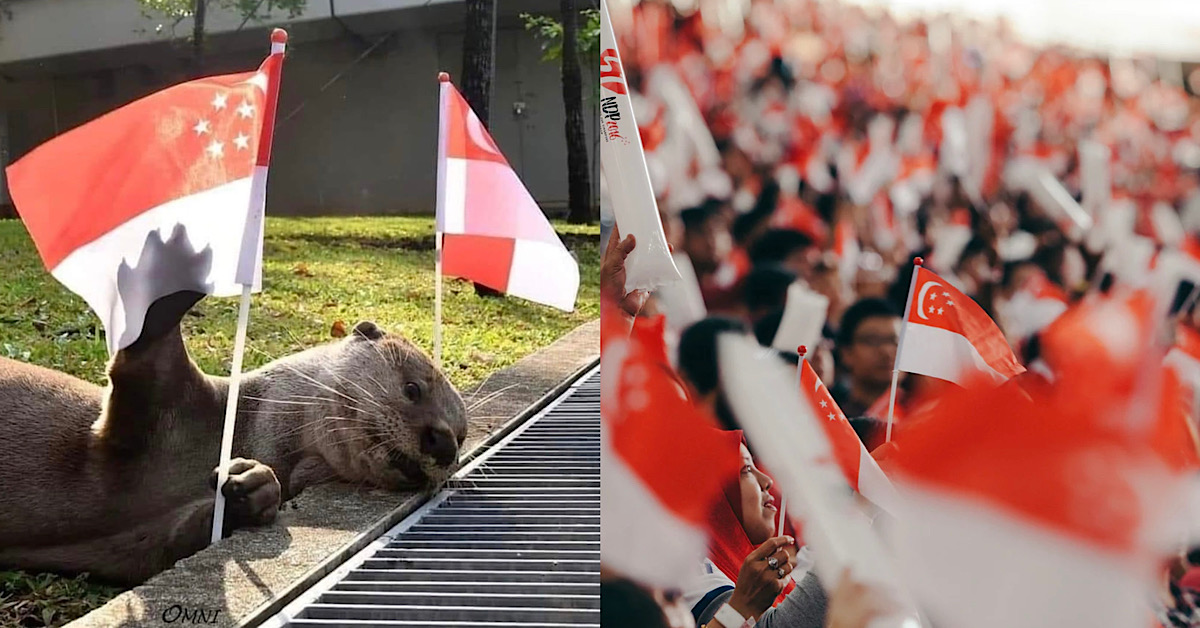 NETIZEN SAYS OTTER HAD WILD NIGHT, “DRUNK” UNTIL NDP MORNING