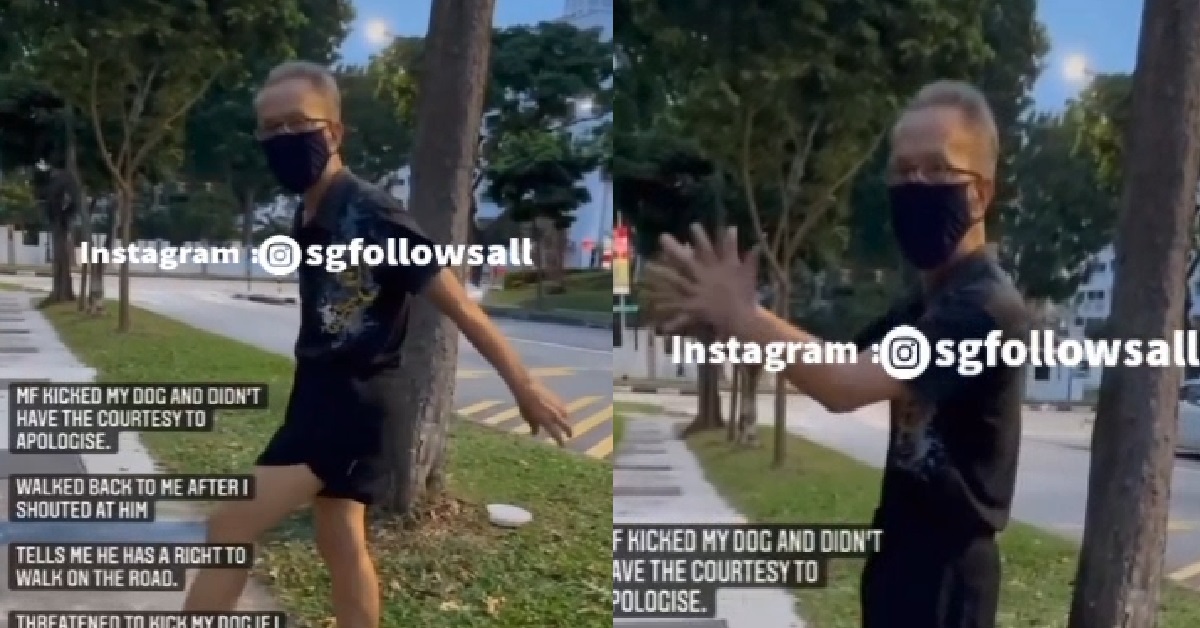 UNCLE ALLEGEDLY KICKED OLD DOG, SAYS HE GOT RIGHT OF WAY ON PAVEMENT