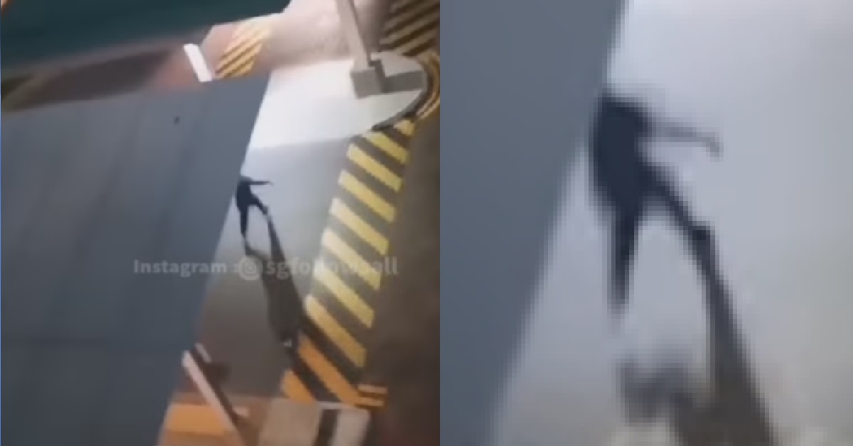 MAN GROWLING & STUMBLING UNDER BLOCK, RESIDENT THOUGHT GOT ZOMBIE