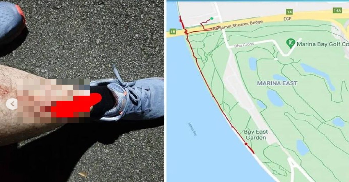 MAN BITTEN BY 2M LONG SNAKE WHILE JOGGING AT MARINA BAY EAST