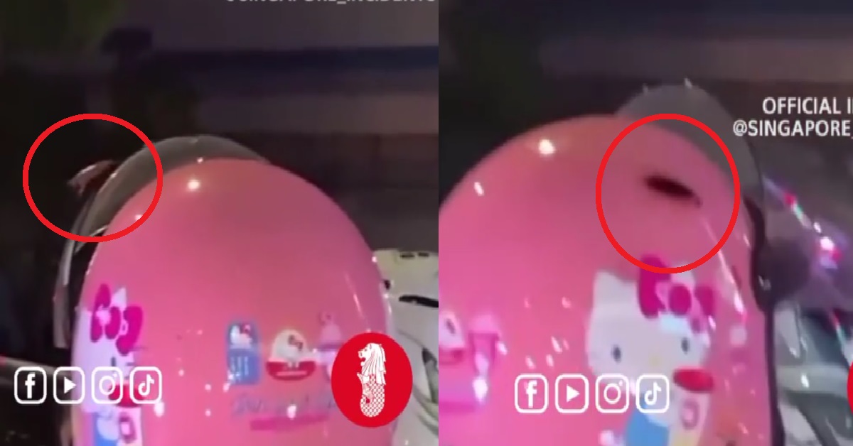 COCKROACH CRAWLING ON MOTORCYCLIST HELMET BUT SHE DON’T KNOW