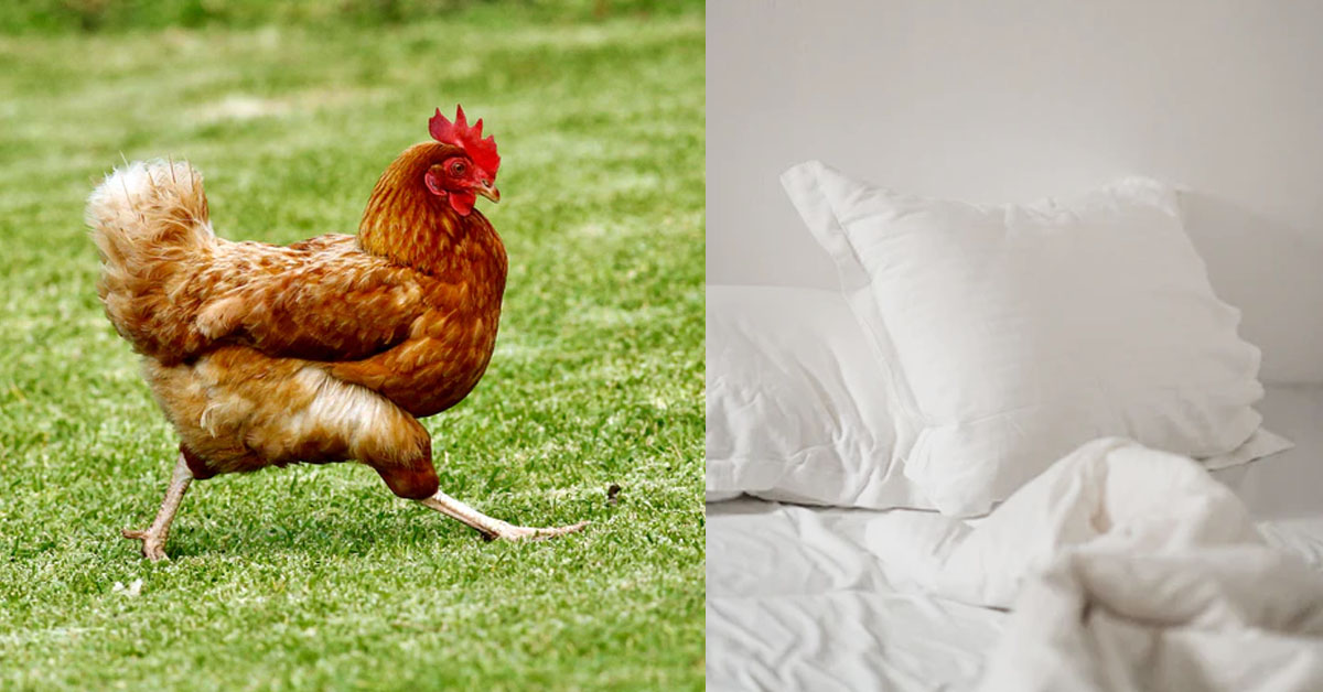 GF SAID SHE CONSERVATIVE, BUT SLEEPS WITH OTHER GUYS