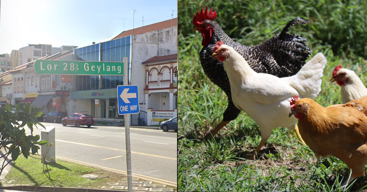 MAN SAYS GO DATE WASTE TIME, “GO GEYLANG GOT GUARANTEED ROI”