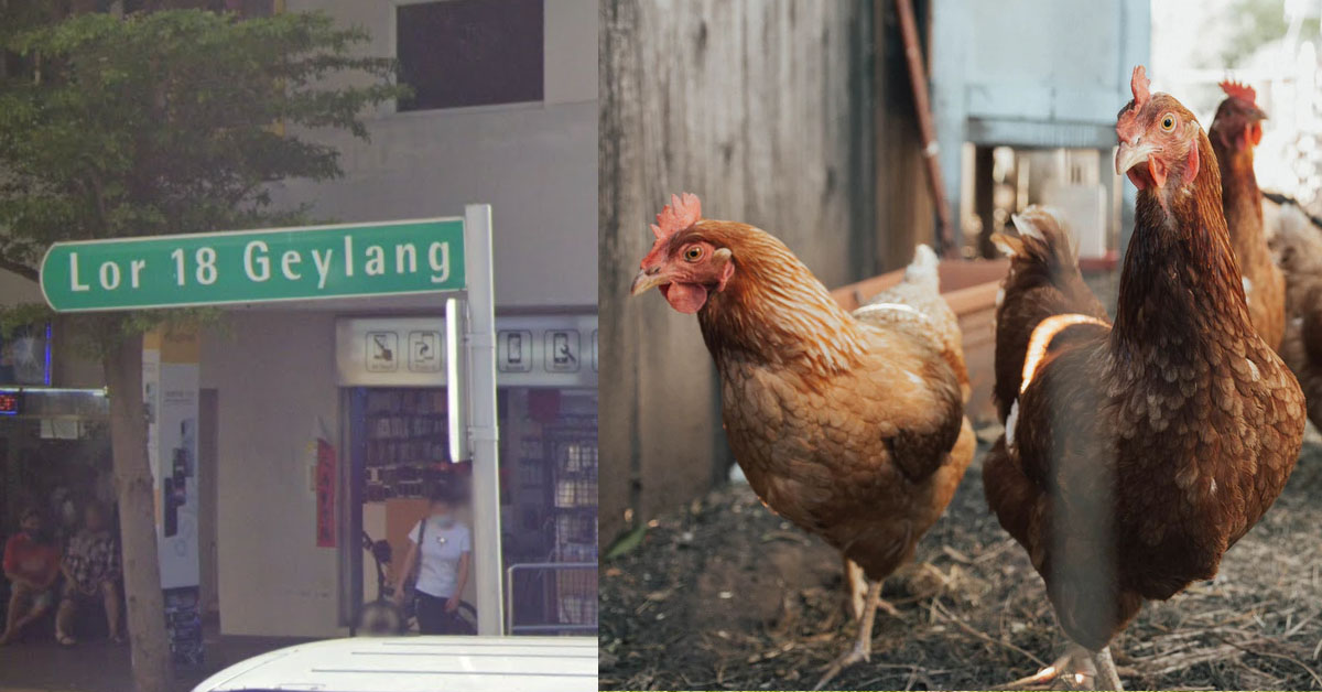 GF FEELS DIRTY AFTER FINDING OUT BF REGULARLY VISIT “CHICKENS”