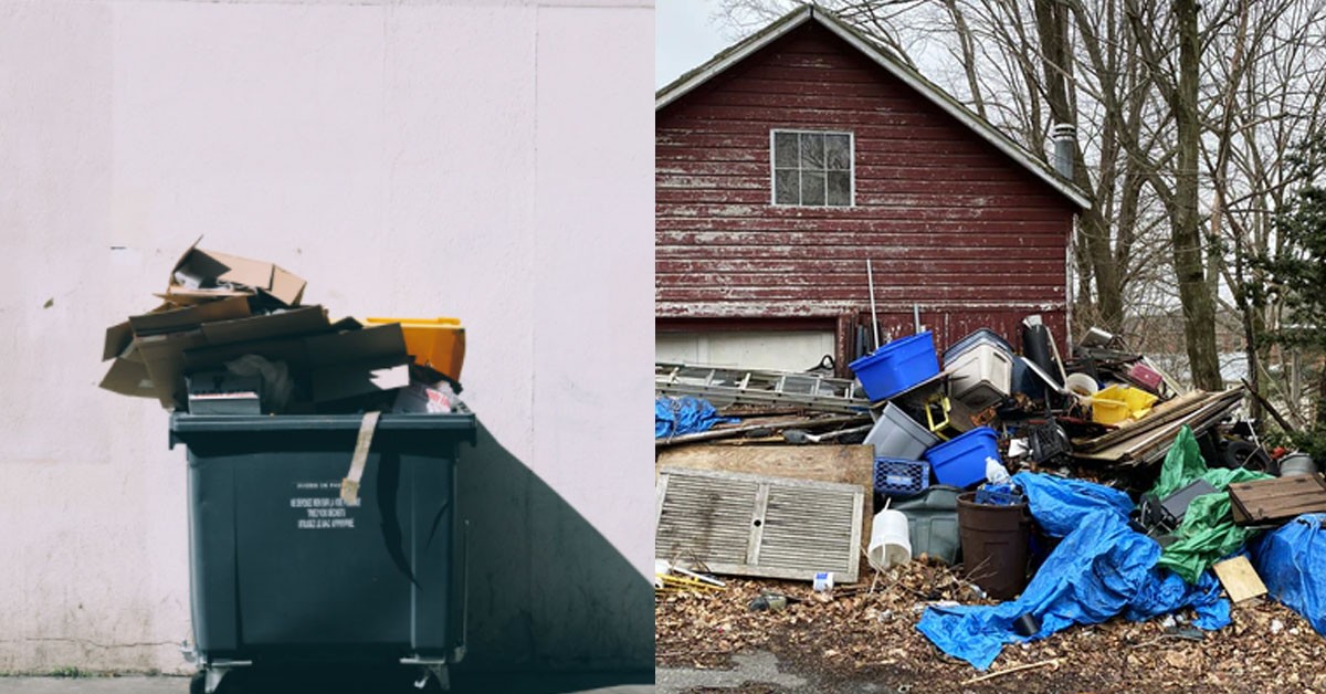 GF ABALONE SIBEI SMELLY BUT SHE INSIST BF TASTE IT