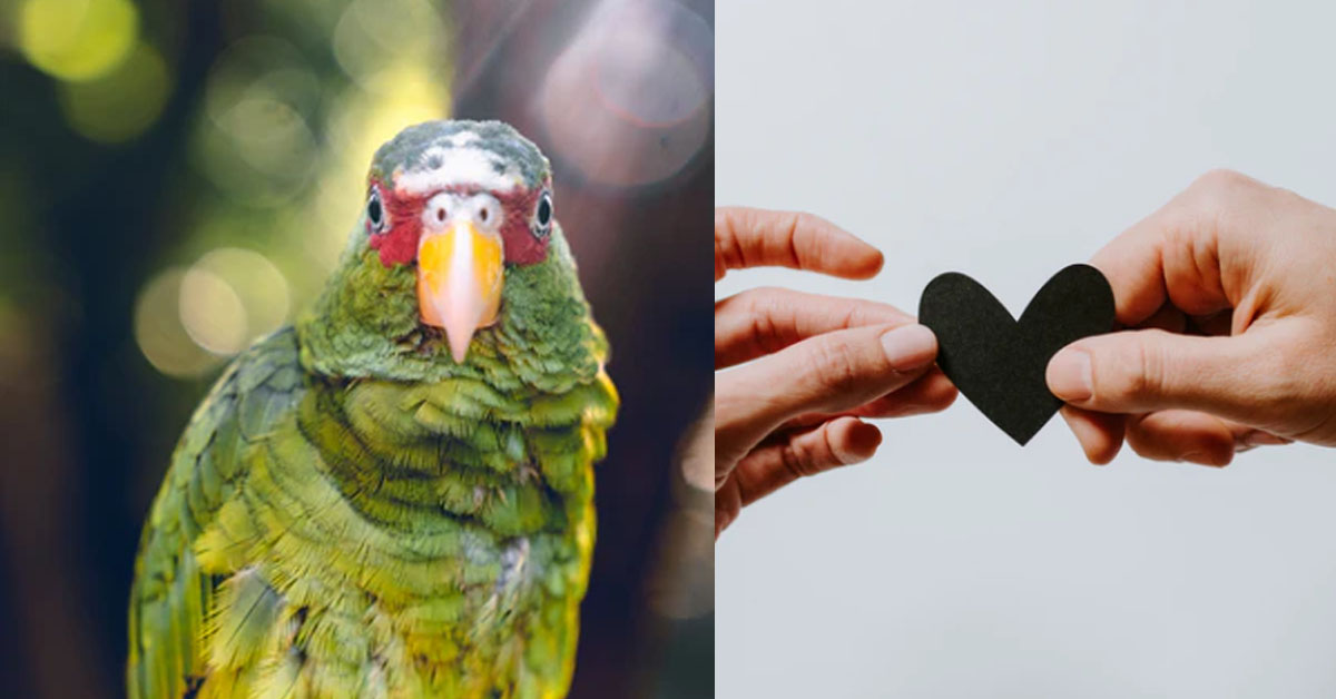 GIRL PREFERS EX WHO GAVE HER DEROGATORY NAMES, ENJOYS GETTING PUNISH