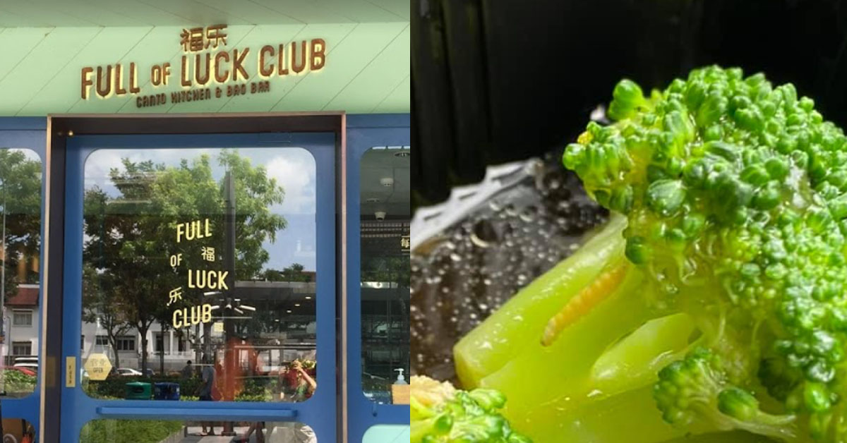 MAN FOUND “EXTRA PROTEIN” IN HIS FOOD FROM HOLLAND RESTAURANT