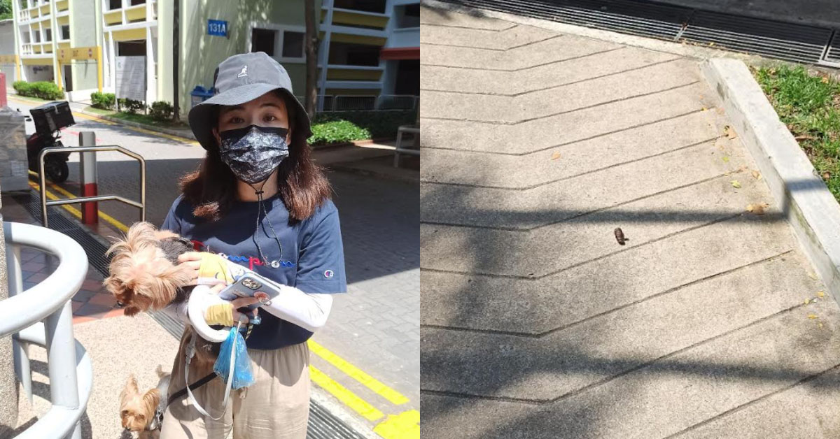 PRC WOMAN’S DOG DEFACATE DONT WANT CLEAN, ACCUSE MAN THE POO IS HIS
