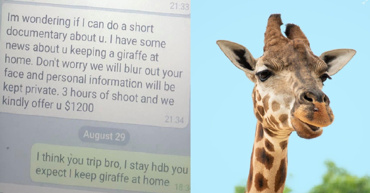 REPORTER ALLEGEDLY FROM SPH CLAIMS MAN KEEPS A GIRAFFE AT HIS HOME