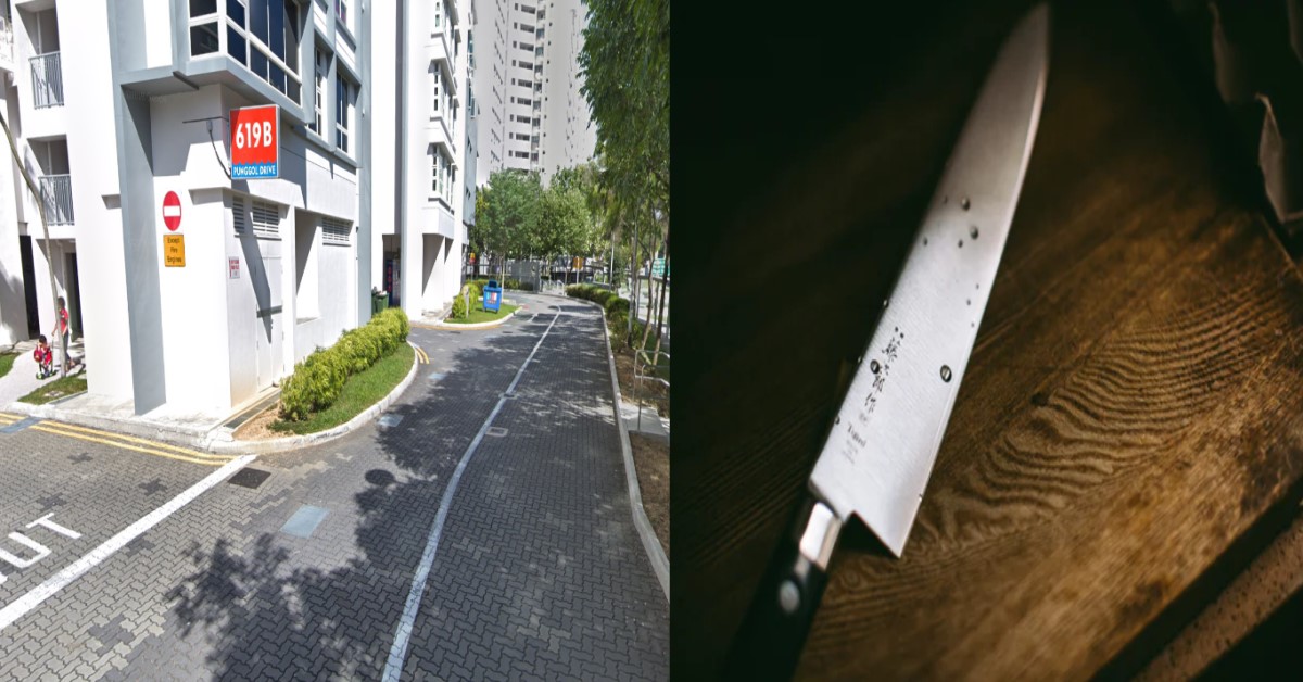 24 Y.O YP WENT CRAZY, DESTROYS NDP BANNERS IN PUNGGOL