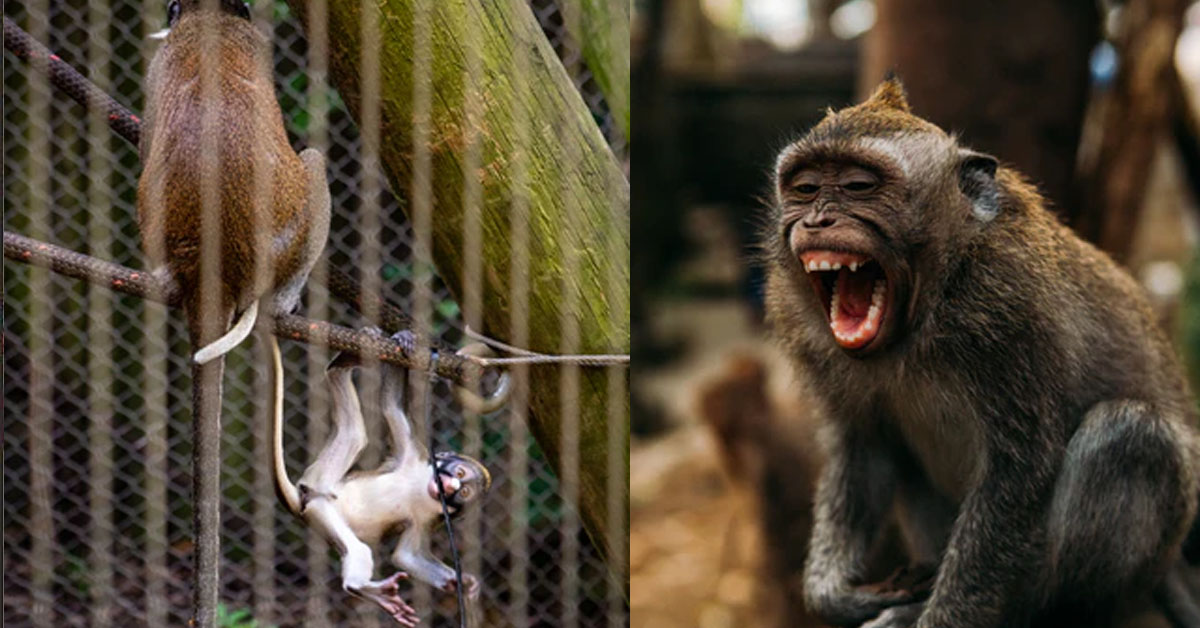 NEIGHBOURS FROM HELL, CHILDREN JUMPING LIKE RAGING MONKEYS AT 3AM