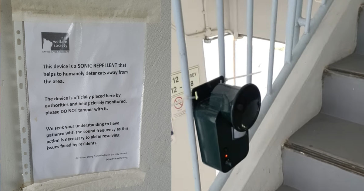 NEIGHBOUR SETS UP SONIC REPELLER TO GET RID OF CATS, BUT ANNOYS HUMANS AS WELL