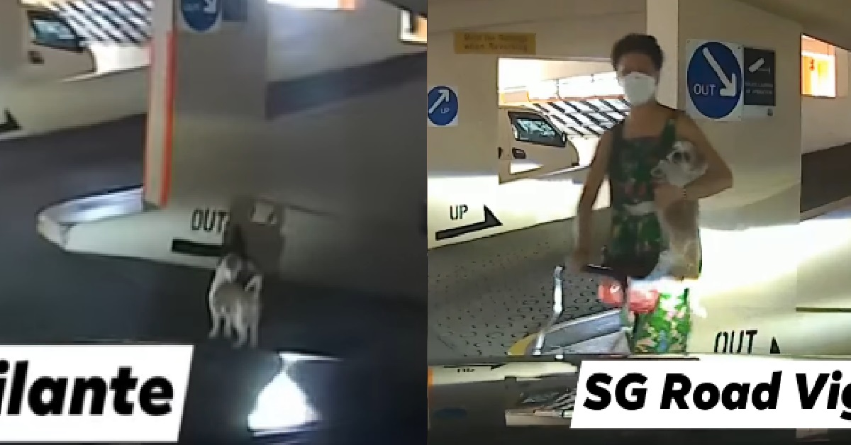 AH MA LET DOG RUN AROUND CARPARK, ALMOST BECOME HUNGRY GHOST PET