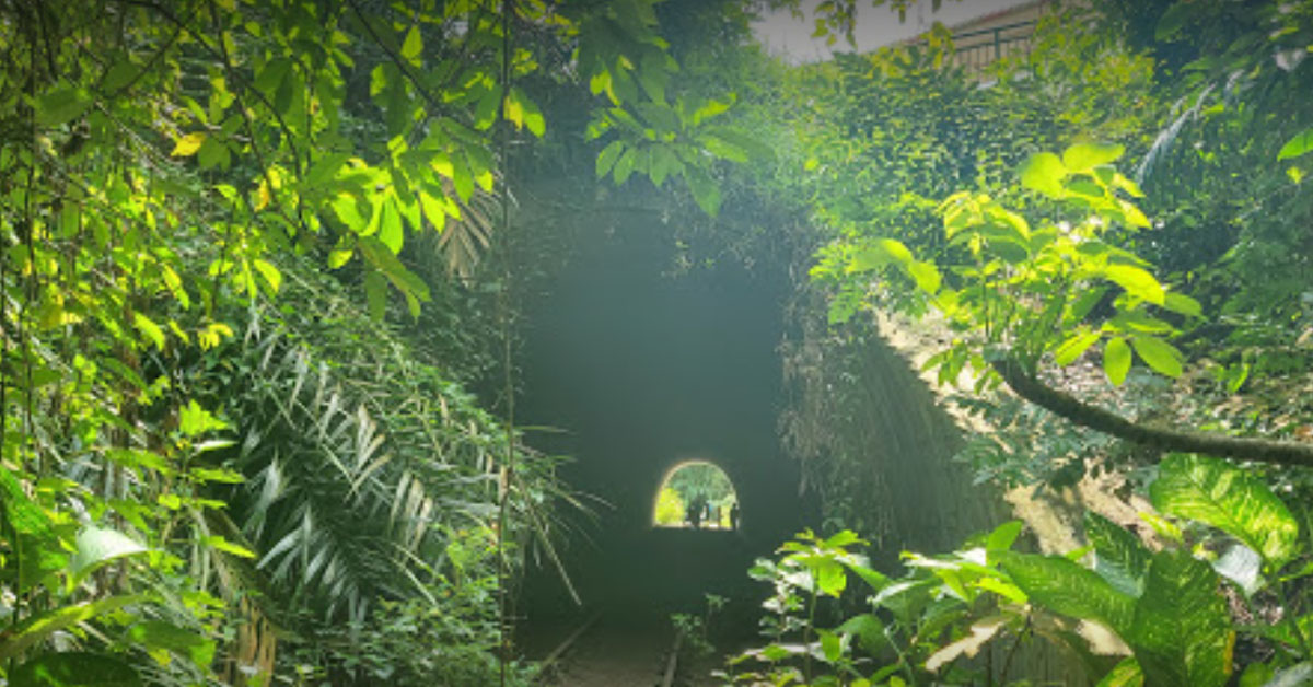 SCDF DEPLOYED TO CLEMENTI FOREST TO RESCUE INJURED HIKER ON NATIONAL DAY