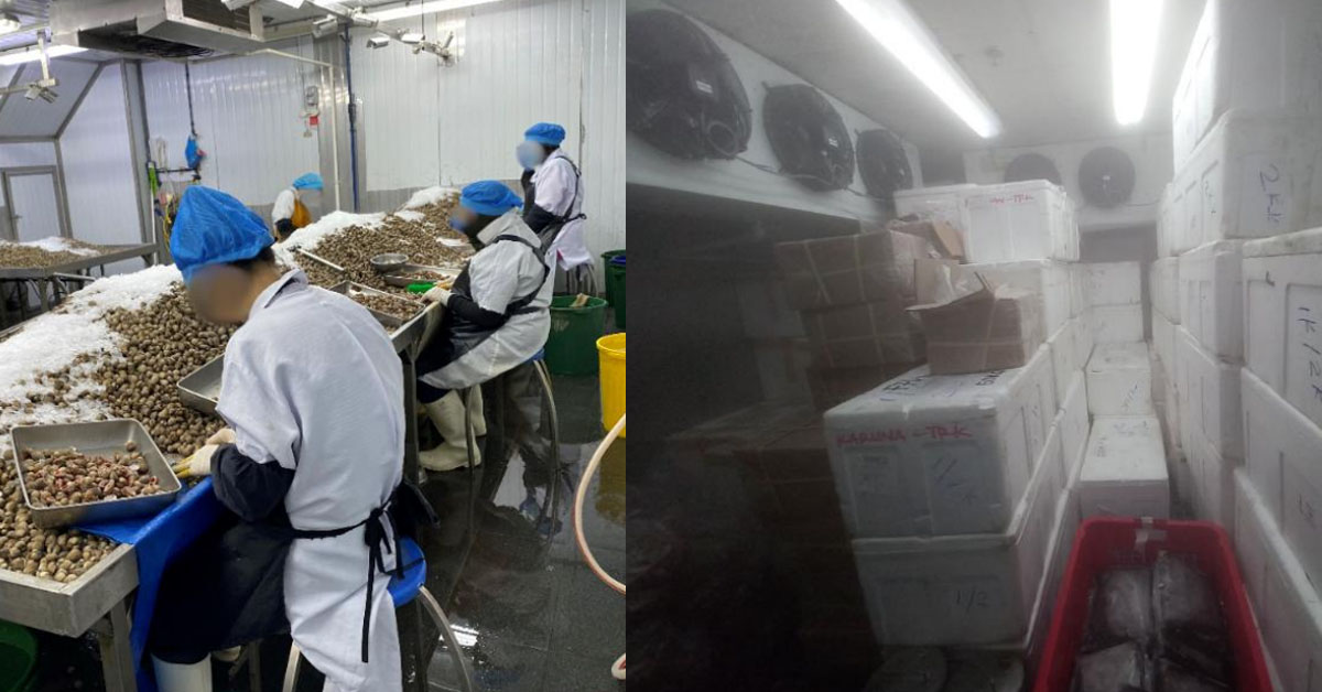 ILLEGAL FOOD PROCESSING IN WOODLANDS, OVER 7,000KG OF SEAFOOD SEIZED