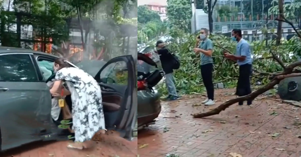 WOMAN CRASHED HER CAR INTO TREES AT ROBERTSON QUAY, SMOKE COMING OUT