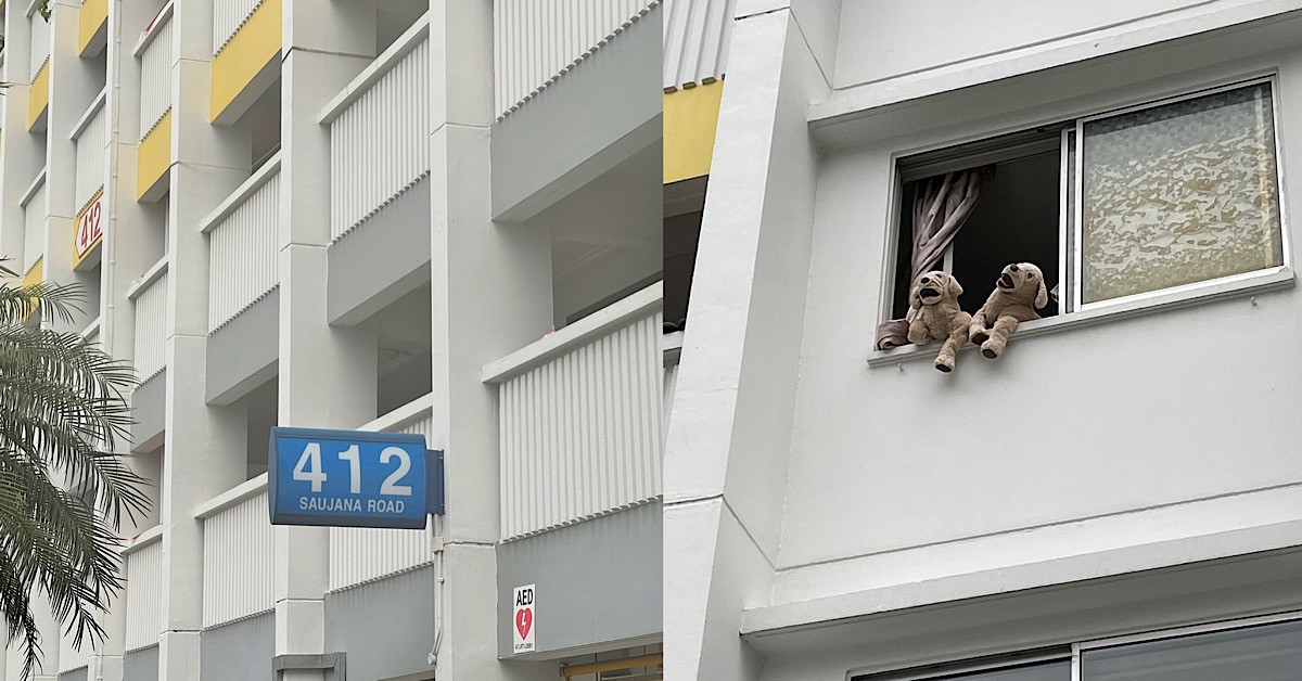 MAN THOUGHT HE KENA BIRD SH*T, LOOKS UP AND SAW TWO DOGS AT WINDOW
