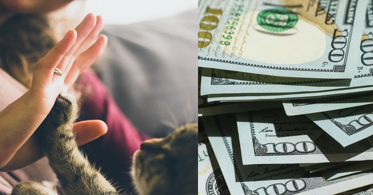 MARRIED MAN DIVORCE FOR PET GF, BUT PET GF CHANGES HER MIND AFTER HE DIVORCE