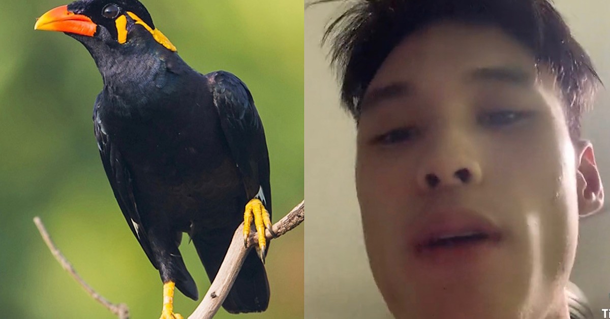 ARMY BOY SAY BALL WITH BIRD SH*T KENA HIS MOUTH THEN HE GET IV DRIP