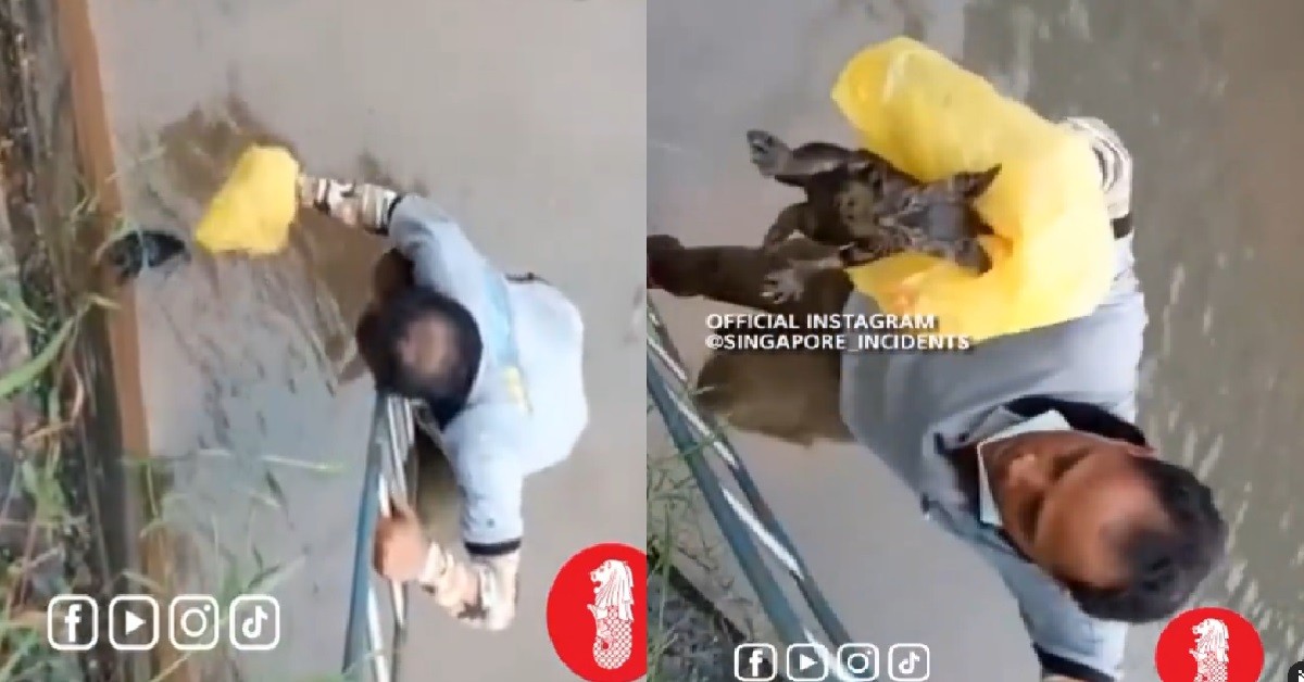 HEROIC FOREIGN WORKER CLIMB DOWN LONGKANG TO RESCUE KITTEN
