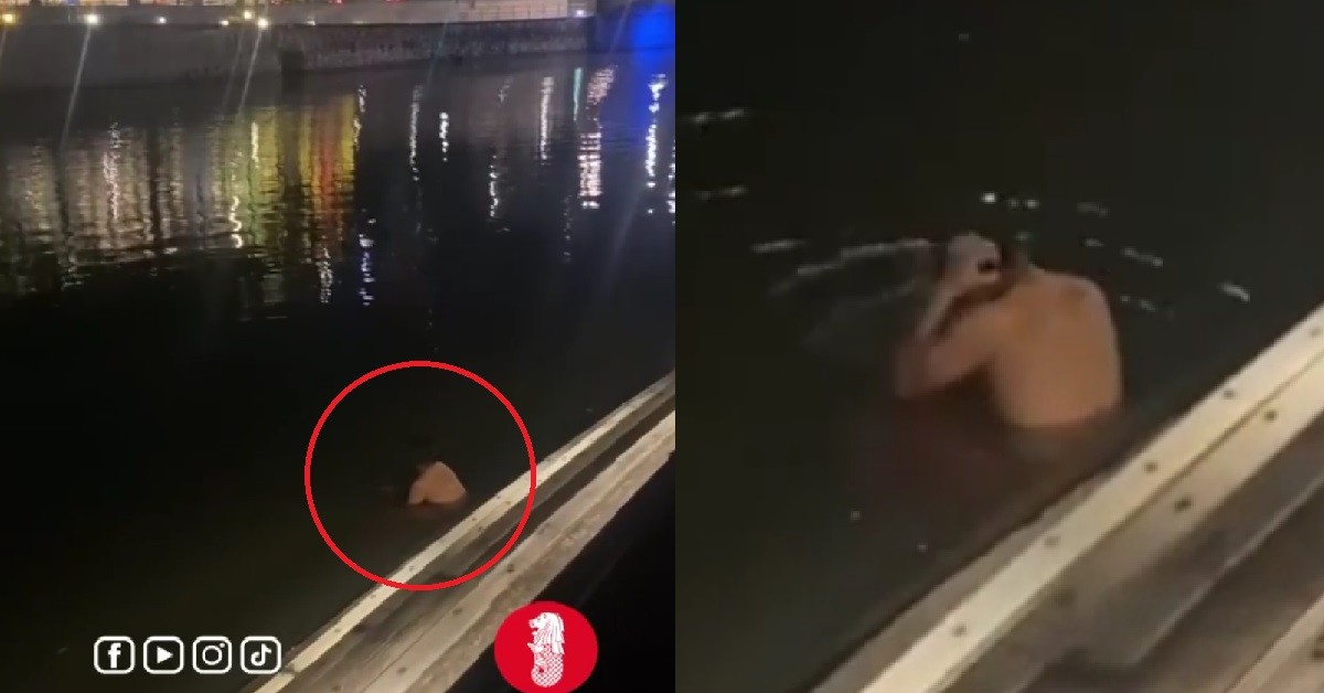 MAN TAKE OFF CLOTHES, JUMPED INTO S’PORE RIVER AND START BATHING