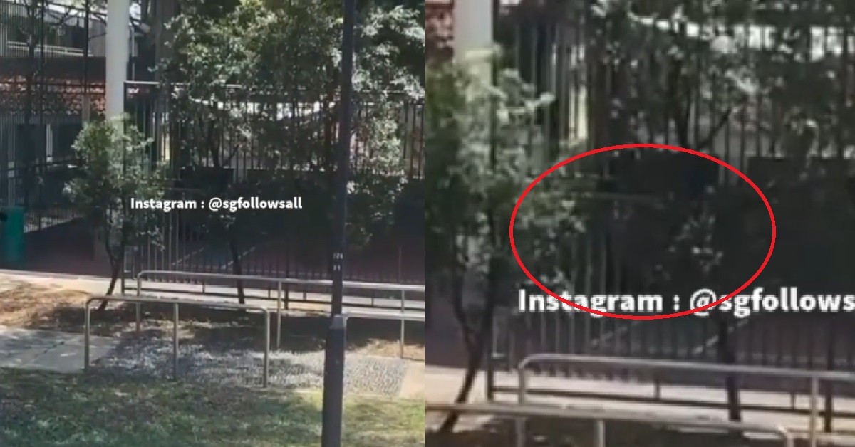 YPS GATHER AT BASKETBALL COURT, SHOUTING GANG POEM: “AU AR AU, SALAKAU!”