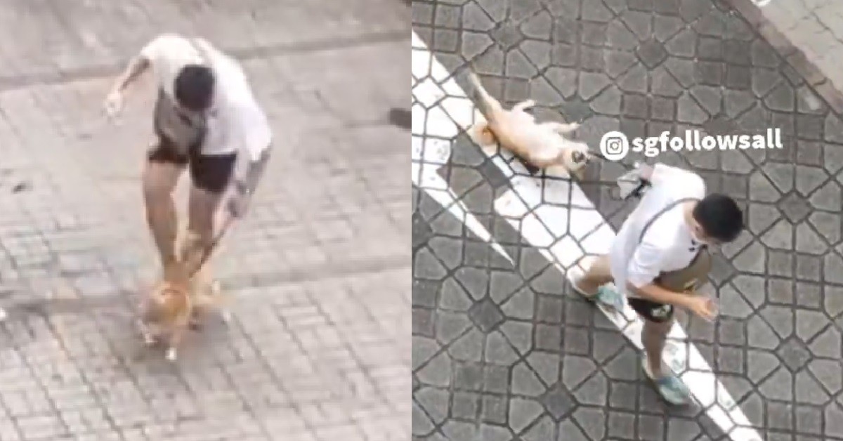 YAO SIU KIA CHOKE, KICK AND HANTAM DOGGO, DOG YELPING FOR HELP