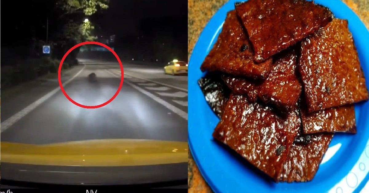 WILD BOAR SUDDENLY APPEAR ON EXPRESSWAY, WANT TO BECOME BAK KWA