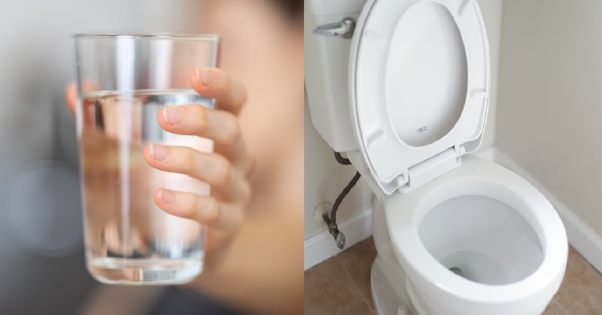 MAID SPIT INSIDE EMPLOYER’S DRINKING WATER, PUT TOILET BOWL WATER