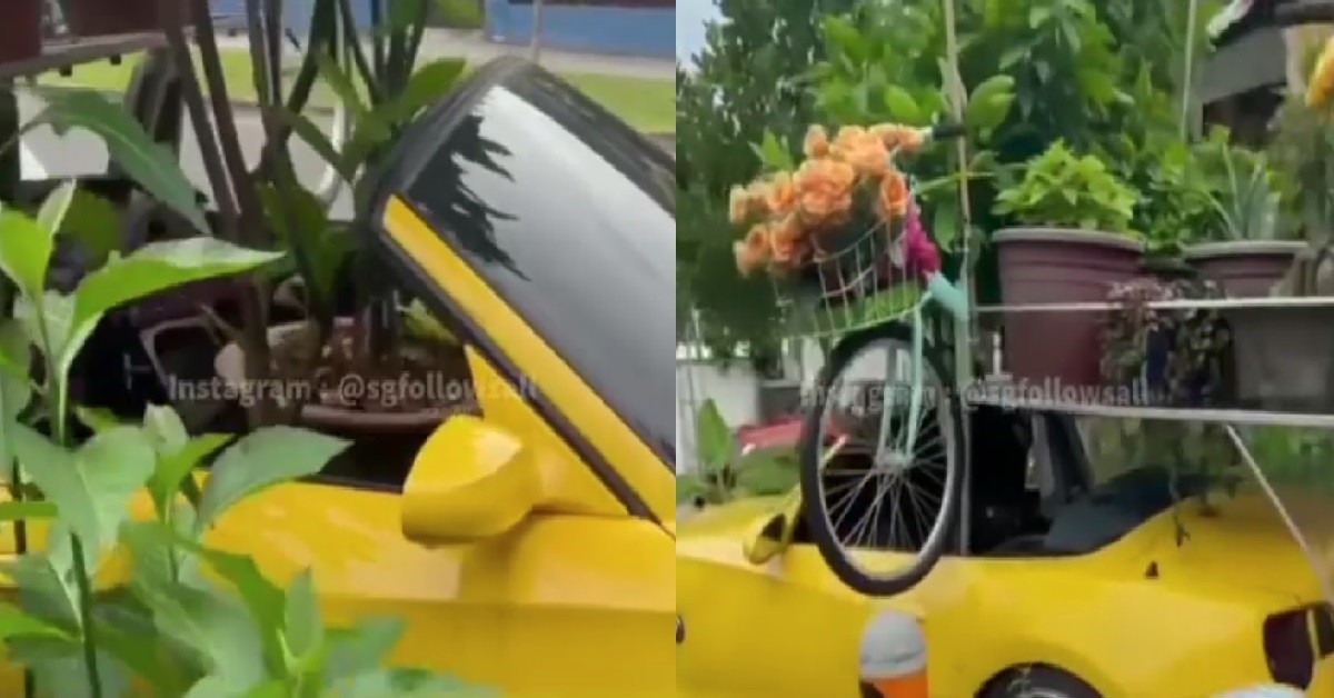 RICH FELLA USE BMW TO DISPLAY POTTED PLANTS OUTSIDE PRIVATE HOUSE