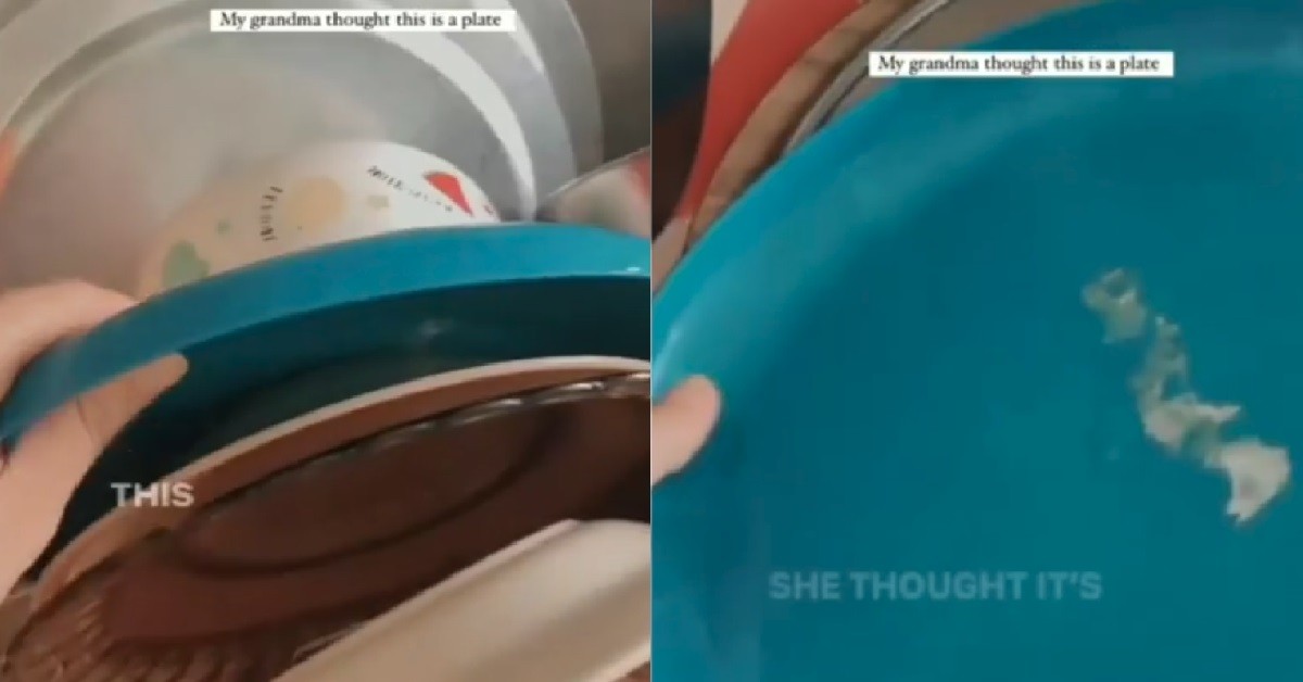 XMM’S AH MA THOUGHT FRISBEE WAS PLATE, WASH AND PUT WITH DISHES