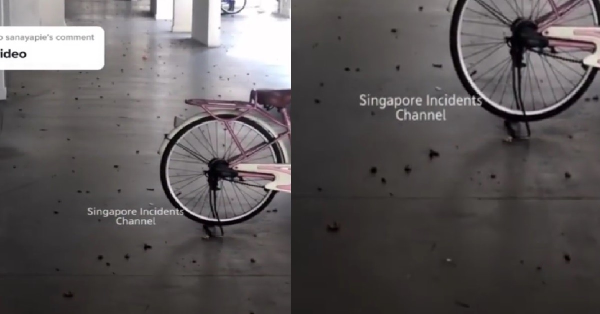 HDB VOID DECK INFESTED WITH DEAD COCKROACHES AFTER FOGGING
