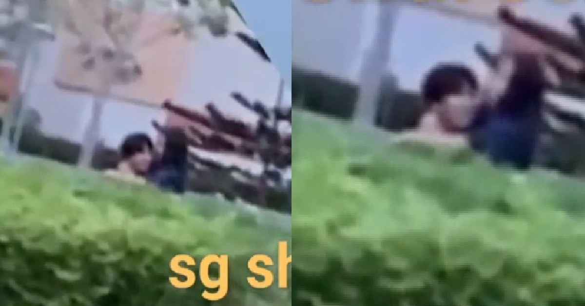 NAUGHTY COUPLE PIAK PIAK BEHIND BUSHES, RIDE LIKE FERRIS WHEEL