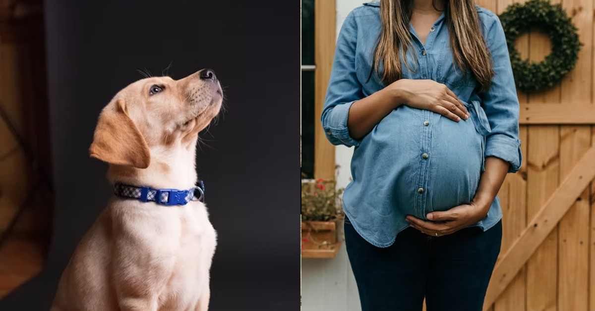 GIRL EXPECTS BF TO LISTEN TO HER LIKE A DOG CAUSE WOMAN GAVE LIFE TO MAN