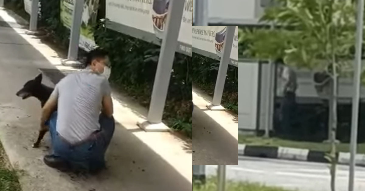 MAN SHAVES DOG IN PUBLIC SO NO NEED TO CLEAN UP