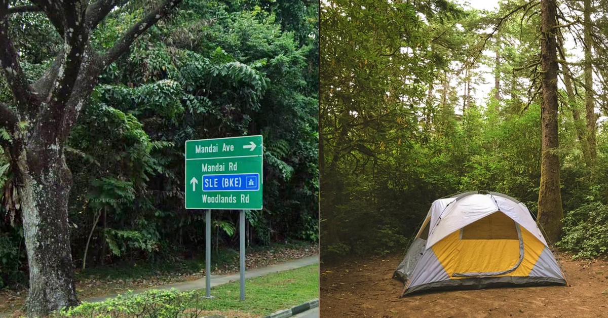MAN SAYS CANNOT AFFORD HDB WANT BUY TENT STAY IN MANDAI FOREST
