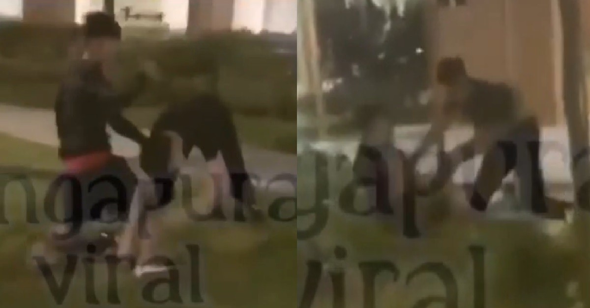 YP BENGS FIGHTING UNDER BLOCK, FIGHT UNTIL GO INSIDE BUSH