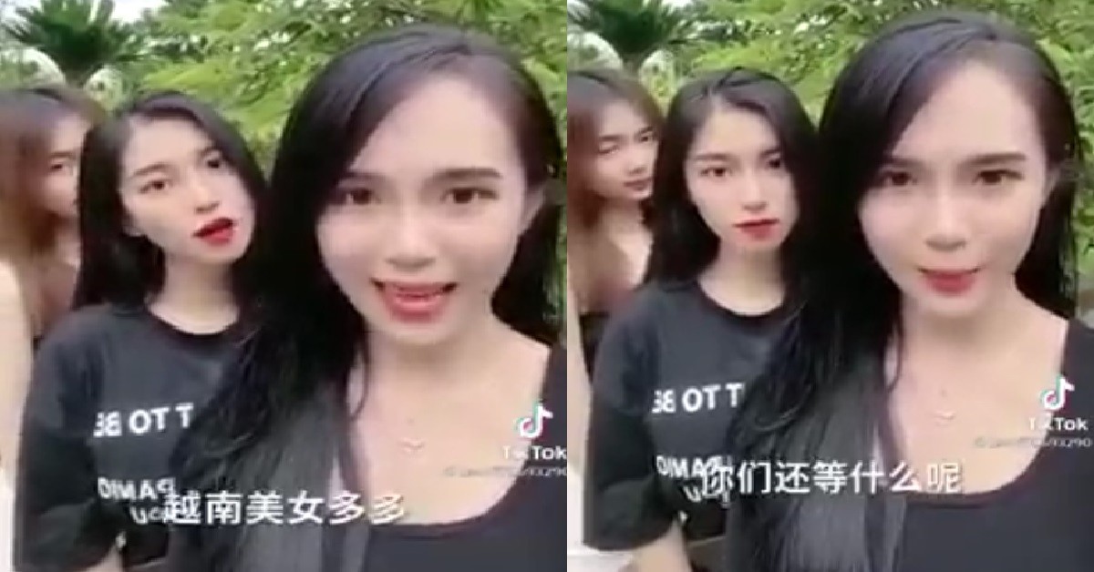 VIETBU SAY VIETNAM MANY CHIOBUS, ALL WAITING FOR YOU TO COME