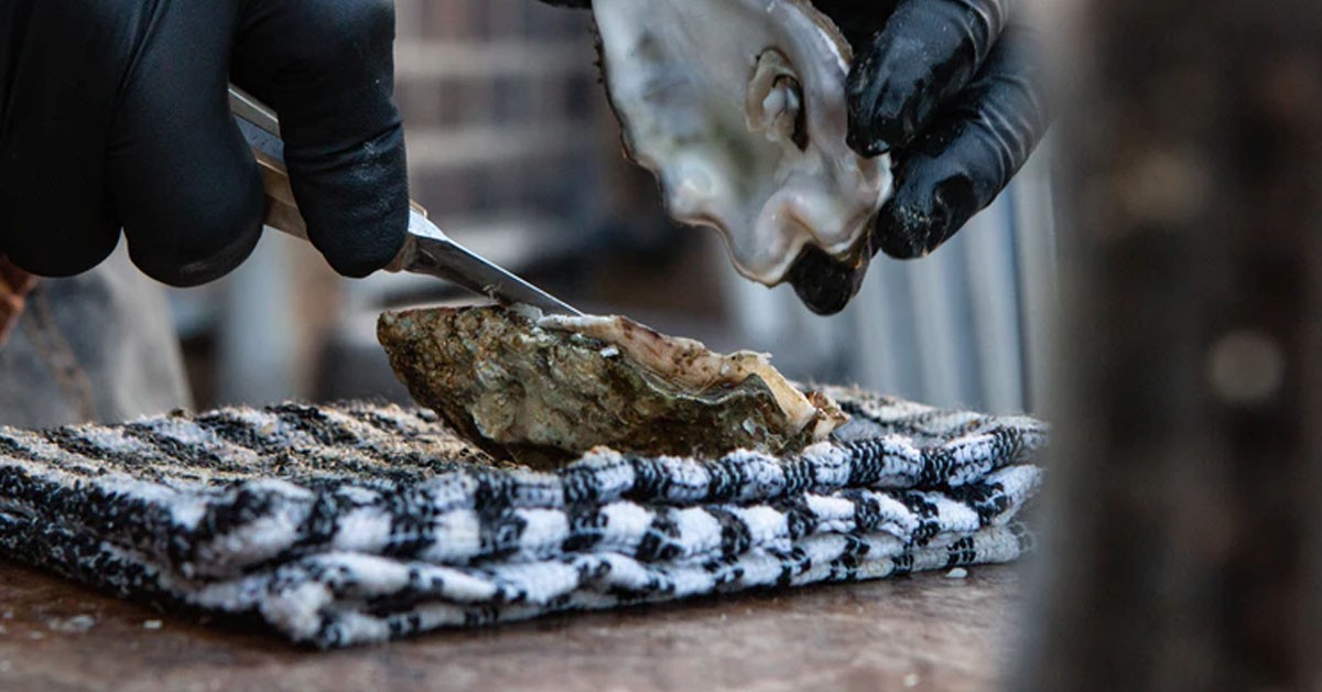 MAN REGRETS AFTER TELLING GF HE WANT TO TRY OTHER GIRLS “OYSTER”