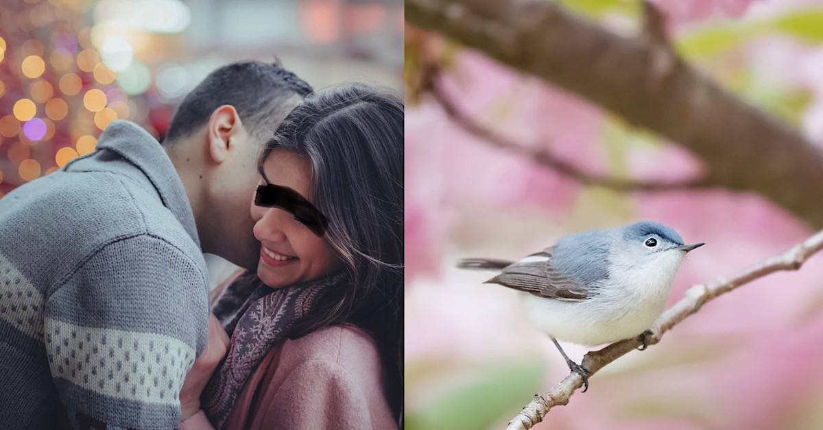 MAN SAYS HE USE BLUE BIRD TOO MUCH LAST TIME TILL NOW CANNOT STAND
