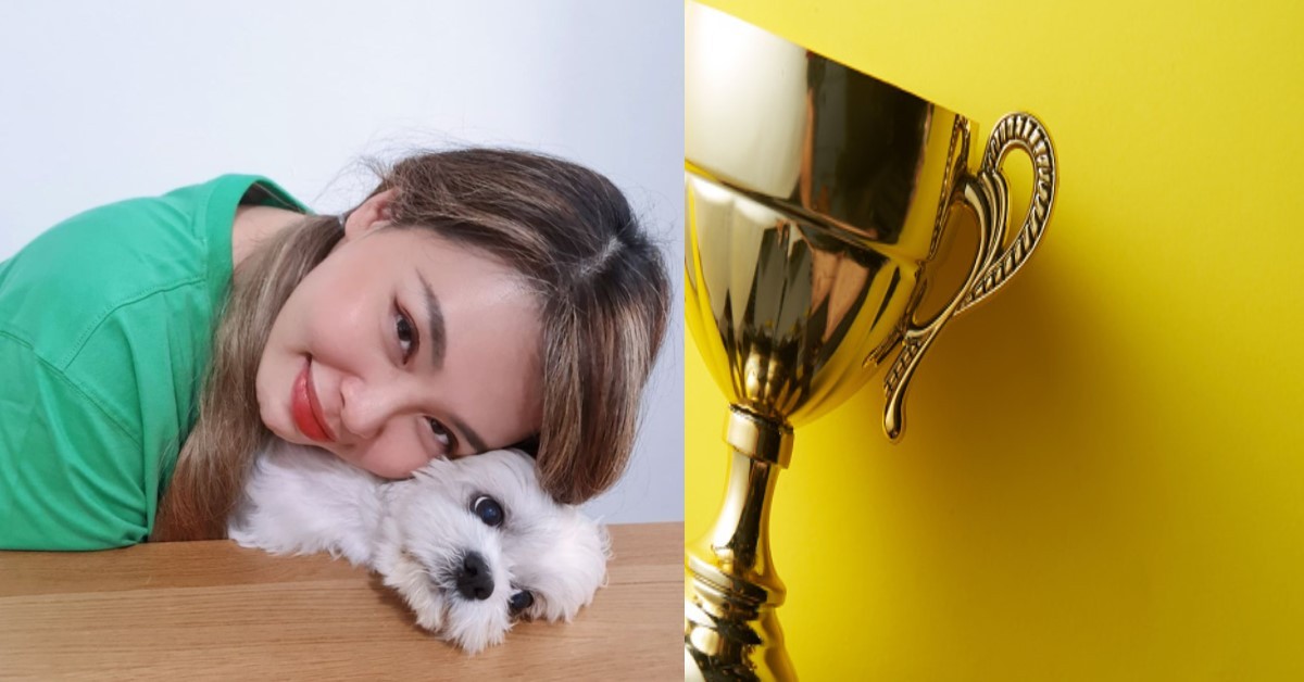 NETIZEN POKES FUN OF NOC SAGA BY MAKING PARODY OF SYLVIA GETTING “STAR AWARDS”
