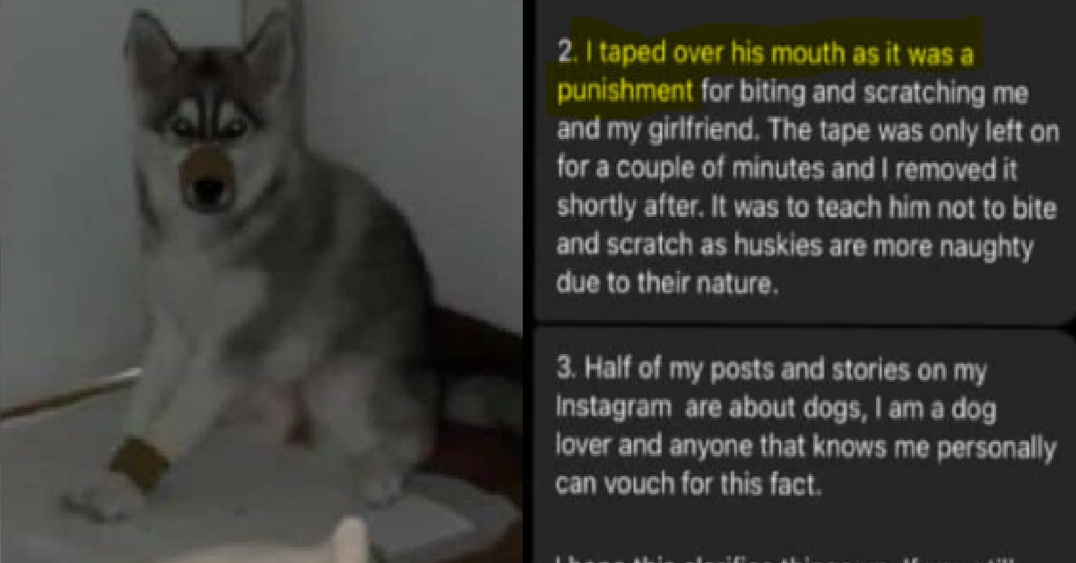 MAN WHO DUCT TAPED DOG’S MOUTH & LEGS, TRIES TO JUSTIFY HIMSELF