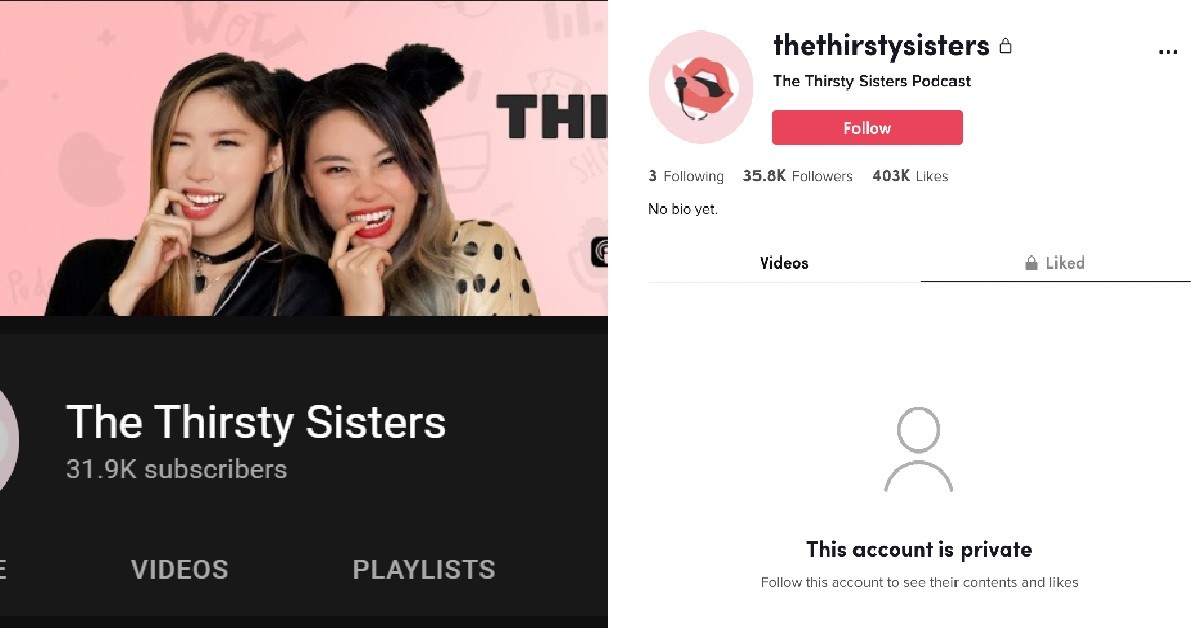 ALL CONTENT FROM SYLVIA’S THIRSTY SISTERS YOUTUBE & IG REMOVED
