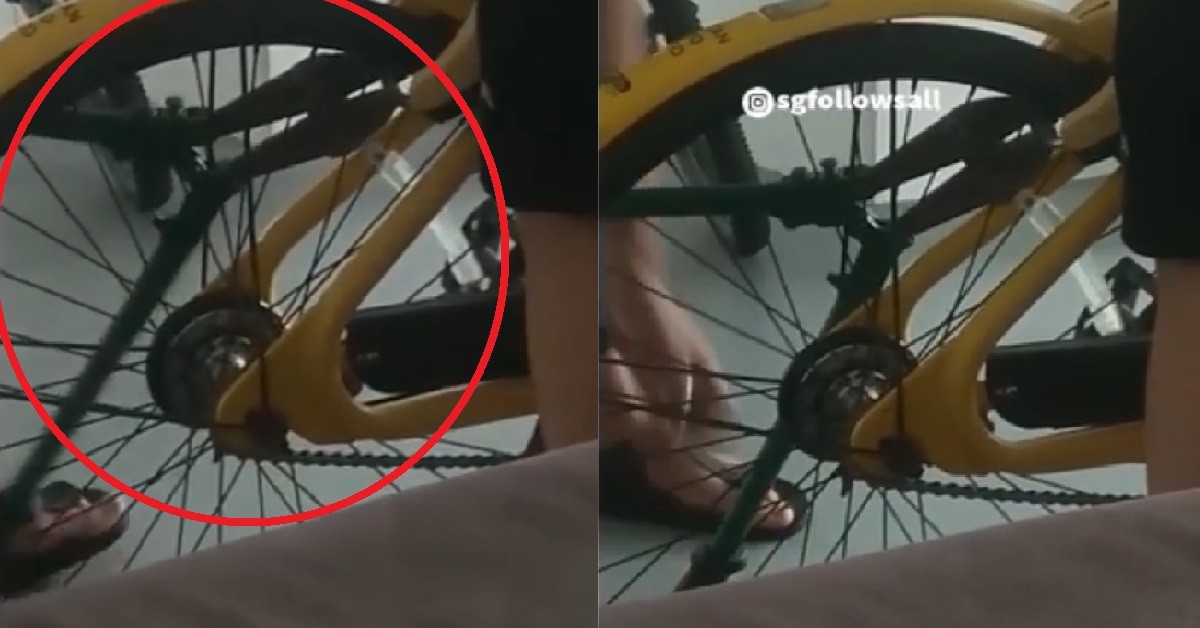 YPS TAKE BOLT CUTTER TO ILLEGALLY BREAK LOCK OF OFO BIKE